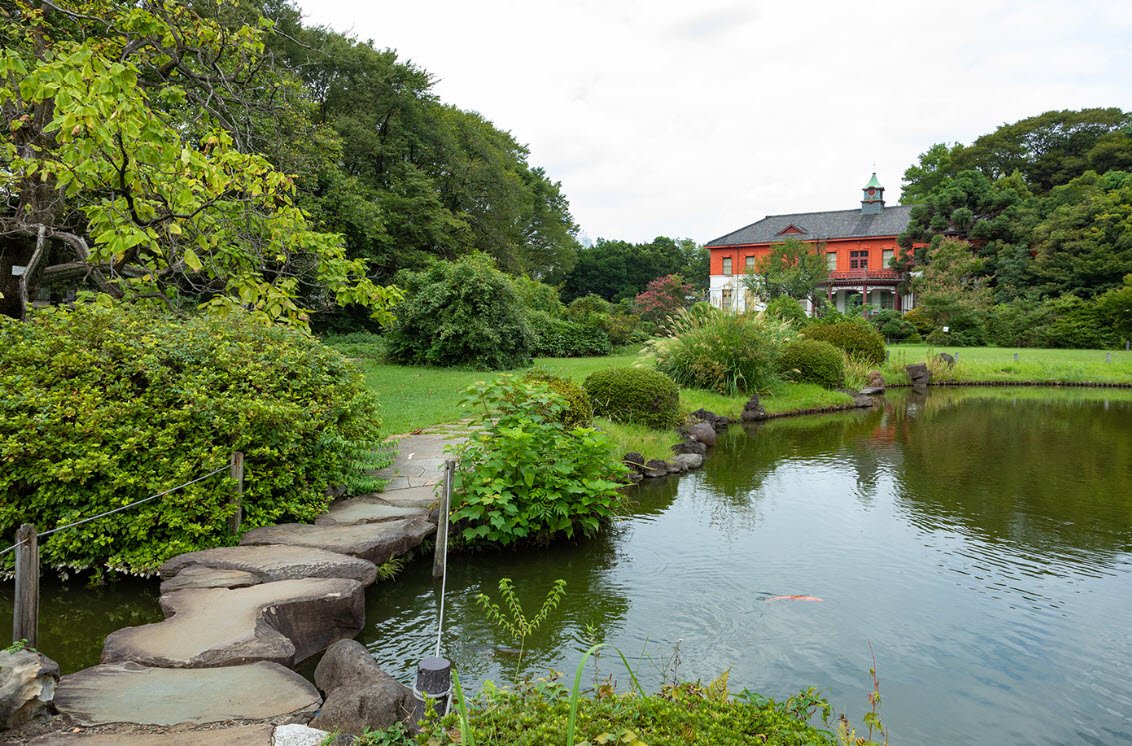 Tokyo University of Agriculture Botanical Garden, Atsugi, Japan, Japan